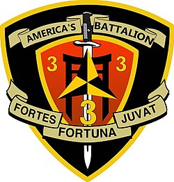 A black shield with a red interior and a gold border. On the top is written "America's Battalion" and on the bottom written "Fortes Fortuna Juvat." The red interior has three "3"'s in the center with a sword running through it with a caltrop.