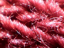 Polyester yarn