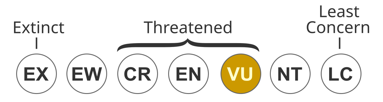 Status iucn3.1 VU.svg