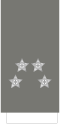 General (Portuguese Army)[34]