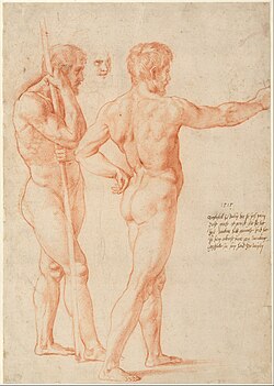 Nude Studies (1515)