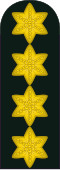 General (Royal Danish Army)[11]