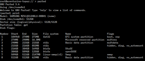 Screenshot of GNU Parted showing Microsoft basic data partitions within a GUID Partition Table
