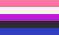 Genderfluid pride flag, made up of horizontal stripes of, from top to bottom, pink, white, purple, black, and blue.