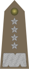 Generał (Polish Army)[33]