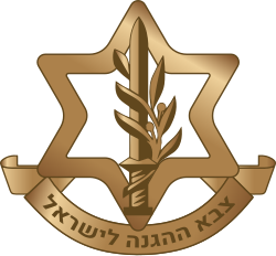 IDF Emblem, containing a sword wrapped in an olive branch inside a Star of David