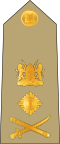 General (Kenya Army)[20]