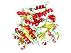 Conformation of the CopII protein that is complexed with the snare protein Sed5 (PDB: 1PD0​).