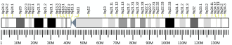 Chromosome 9 (human)