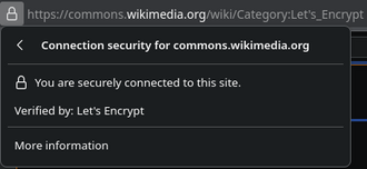 When accessing a site only with a common certificate, on the address bar of Firefox and other browsers, a "lock" sign appears.