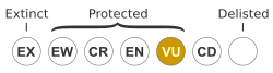 Vulnerable
