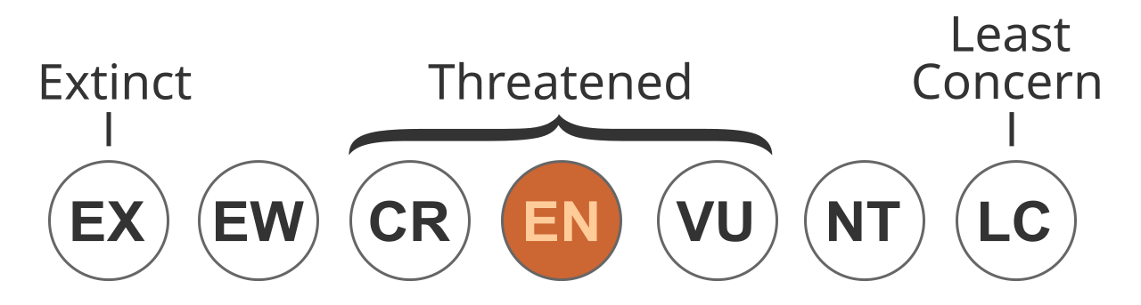 Status iucn3.1 EN.svg