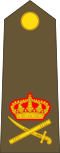 Général (Luxembourg Army)[22]