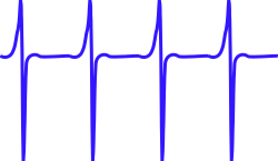 A mormyrid electrolocation waveform