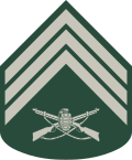 Terceiro-sargento (Brazilian Army)[1]